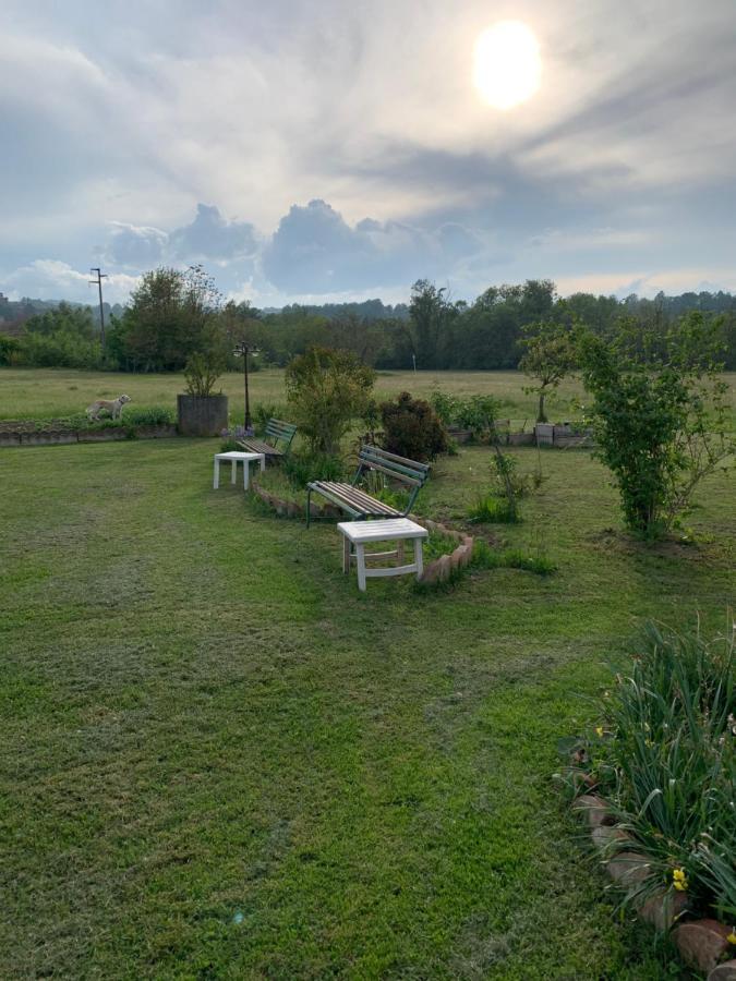 穆利诺马尔萨住宿加早餐旅馆 CastellʼArquato 外观 照片